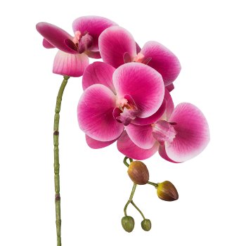 Phalaenopsis 3D-Print x 4, 42cm, Orchid, Real Touch