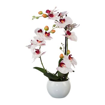 Phalaenopsis 3D-print im Keramiktopf, 42cm, rosa, Real Touch