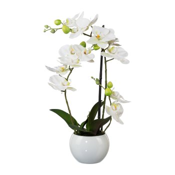 Phalaenopsis 3D-Print in ceramic pot, 42cm, white, Real Touch