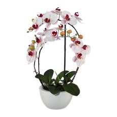 Phalaenopsis 3D-print im Keramiktopf, 52cm, rosa, real touch