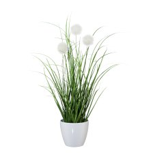 Grass bush with burdock, 36cm, white, in pot