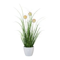 Grass bush with burdock, 36cm, cream, in pot