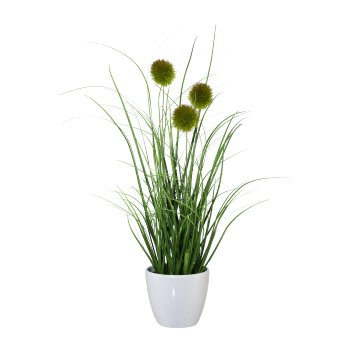 Grass bush with burdock, 36cm, green, in pot