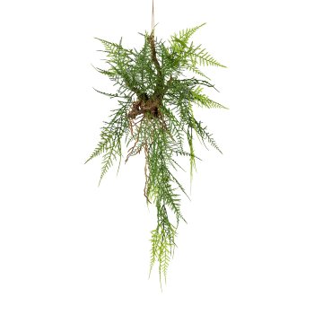 Hanging Branch with Asparagus, 70cm