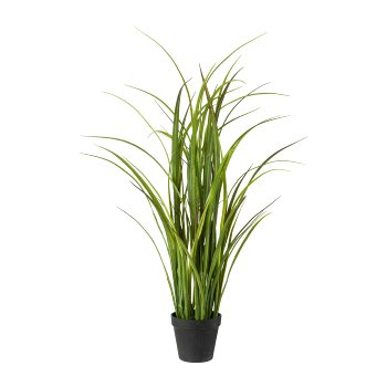 Meadow Grass In Pot, 90 cm
