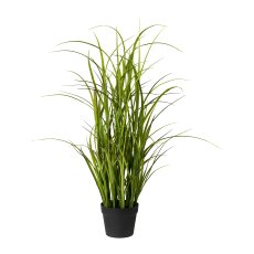 Meadow Grass In Pot, 97 cm