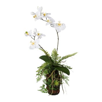 Orchid-Fern Arrangement, 57 cm, White, Real Touch