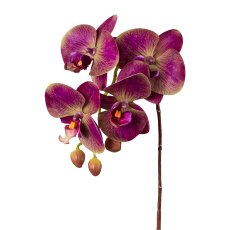 Phalaenopsis, 44cm, lila, Real Touch