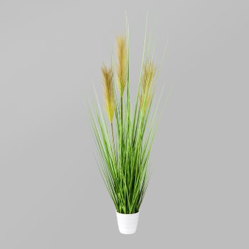 Grass bush in white pot, 9.5x8.5cm