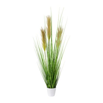 Grass bush in white pot, 9.5x8.5cm