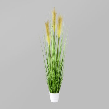 Grass bush in white pot, 11x10cm