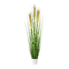 Grass Bush In White Pot, 95cm, green, Pot 11x10cm