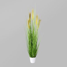 Grasbusch im weißen Topf, 110cm, grün, Topf 14x12cm