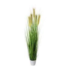 Grass Bush In White Pot, 150