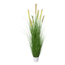 Grasbusch im weißen Topf, 180cm, grün, Topf 20x17cm