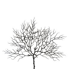 Coral Branch, 44 cm, Black