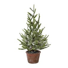 Spruce with Snow In Pot, 55 cm, Snow