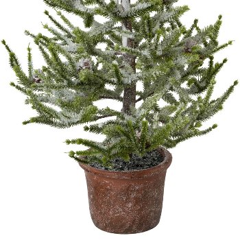 Spruce with Snow In Pot, 65 cm, Snow