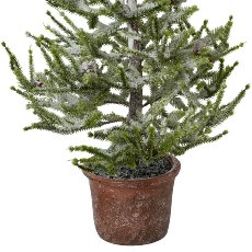 Spruce with Snow In Pot, 65 cm, Snow