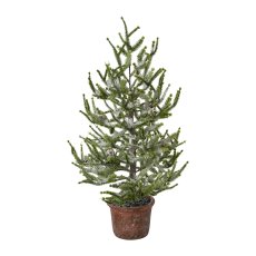 Spruce with Snow In Pot, 65 cm, Snow