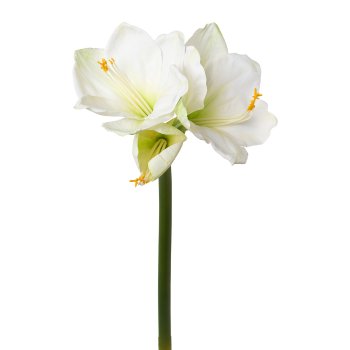 Artificial amaryllis, 68cm, white, real touch