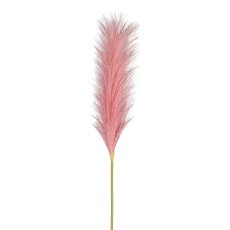 Pampas Grass, 115 cm, pink