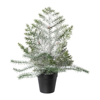 Indoor Fir In Pot, Snowed, 40 cm, Snow