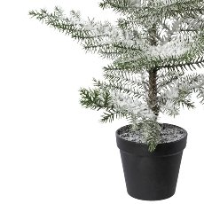 Indoor Fir In Pot, Snowed, 64 cm, Snow