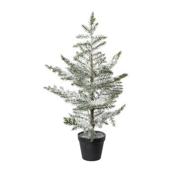 Indoor Fir In Pot, Snowed, 64 cm, Snow