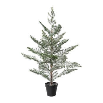 Indoor Fir In Pot, Snowed, 100 cm, Snow