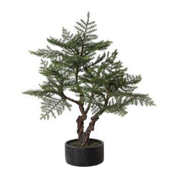 Bonsai fir, 98cm, green
