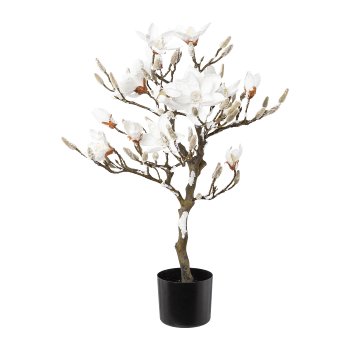 Magnolienbaum beschneit, 87cm