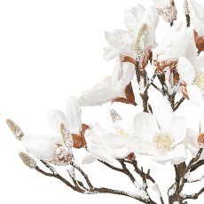 Magnolia Tree Snowed In, 58cm