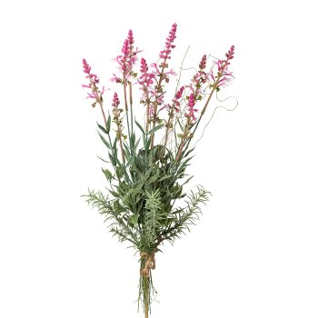 Salvia mix bush, 48cm, pink