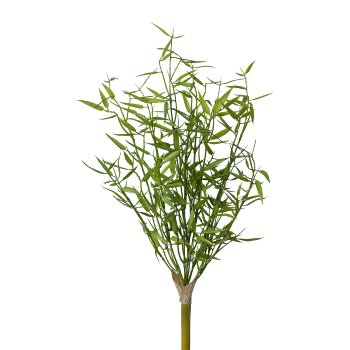 Mini bamboo, 43cm