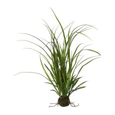 Meadow Grass In Bale, 53 cm