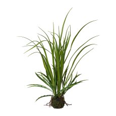 Meadow Grass In Bale, 71 cm