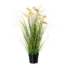 Grass in pot, 66cm