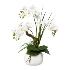 Phalaenopsis 46cm, weiß im weißen Keramiktopf 14x10cm Real Touch,