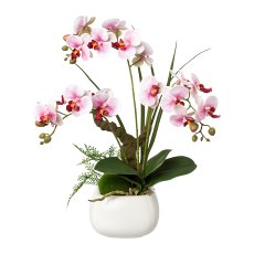 Phalaenopsis im Keramiktopf, 46cm, lila, Real Touch,