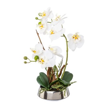 Orchidee im Silbertopf, 36cm, weiß