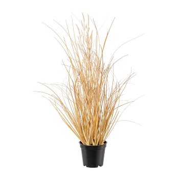 Carex with grass in pot, 46 cm, natural