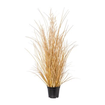 Carex mit Gras im Topf, 60cm, natur