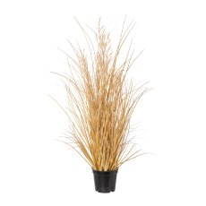 Carex with grass in pot, 60 cm, natural