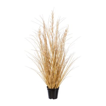 Carex mit Gras im Topf, 89cm, natur