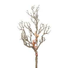 Zweig mit Pilzen, 78 cm, natur