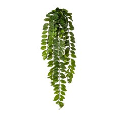 Columnea vine, 85 cm, green