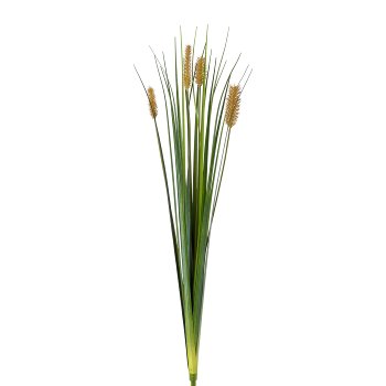 Pennisetum, 58cm, green