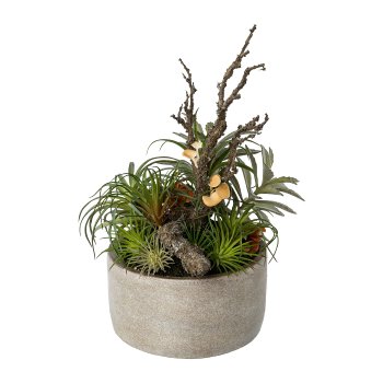 Tillandsien-Mix 35cm grün in Zementschale 19x10cm