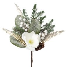 Magnolienbund, 43 cm, frost,
